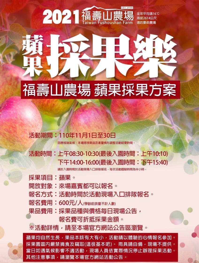 台灣11月活動和旅遊景點🍂秋冬楓葉芒花季節 2 福壽山農場採蘋果活動